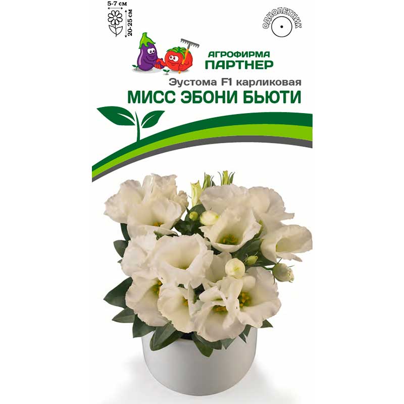 Партнер Эустома карликовая МИСС ЭБОНИ БЬЮТИ F1 ^(5шт в амп)