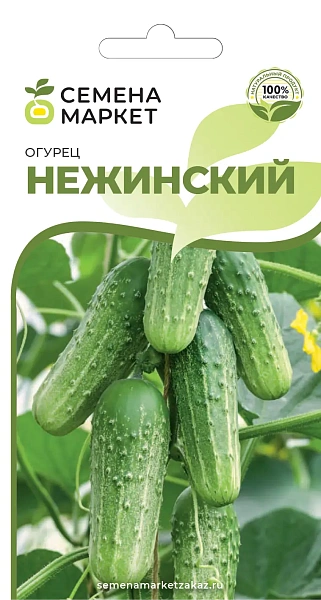 Порно видео: Ішіп алған әпкемді сиқыдым